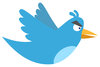 angry twitter bird