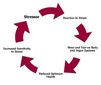 cycle of stress