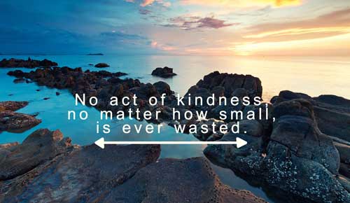 Kindness quote