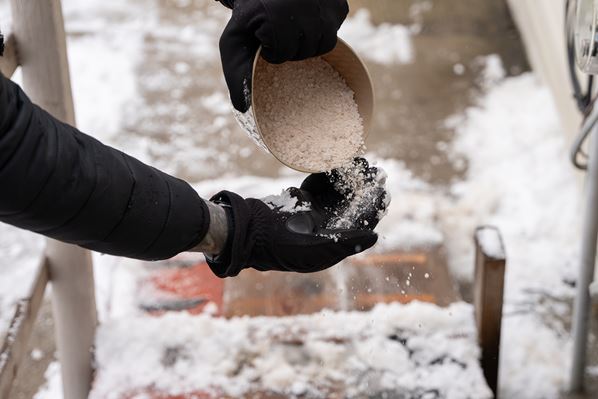 Rock salt vendor