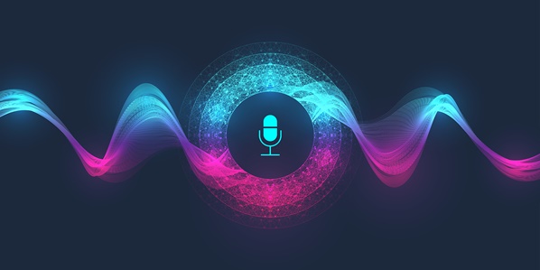 Voicebot technology