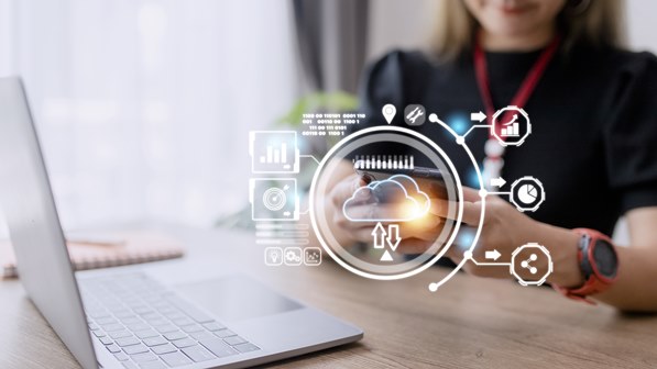 Customer data profiles