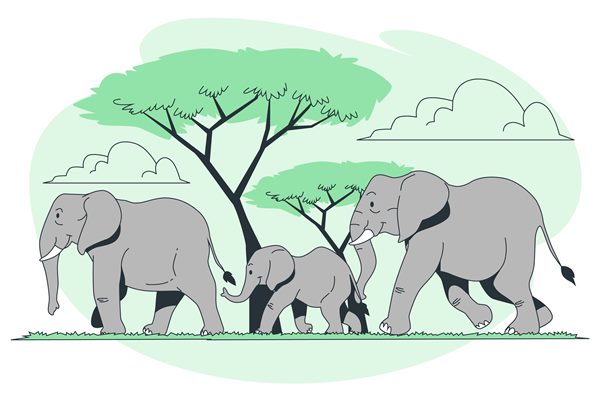 Elephants