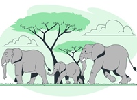 What Elephants and Customer Experiences Have in Common thumbnail