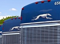 Greyhound Scores Big in USA TODAY’s “America’s Best Customer Service 2026” Rankings thumbnail